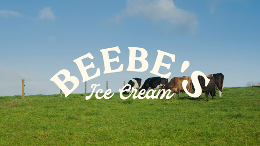 Protein Pints for the Fit-Minded: Do You Want a Clean, High-Protein Ice Cream?